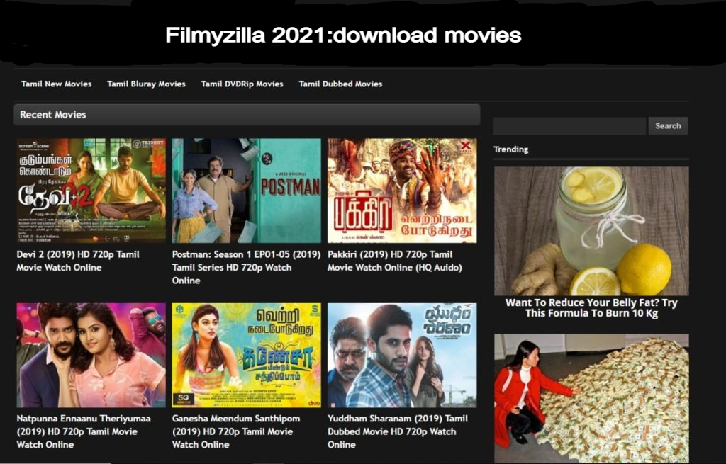 Filmyzilla: Filmyzilla Download Tamil, Telugu, Malayalam, Bollywood Hollywood Movies