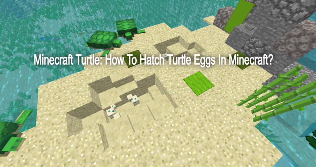 Minecraft Turtle Egg Hatch Guide