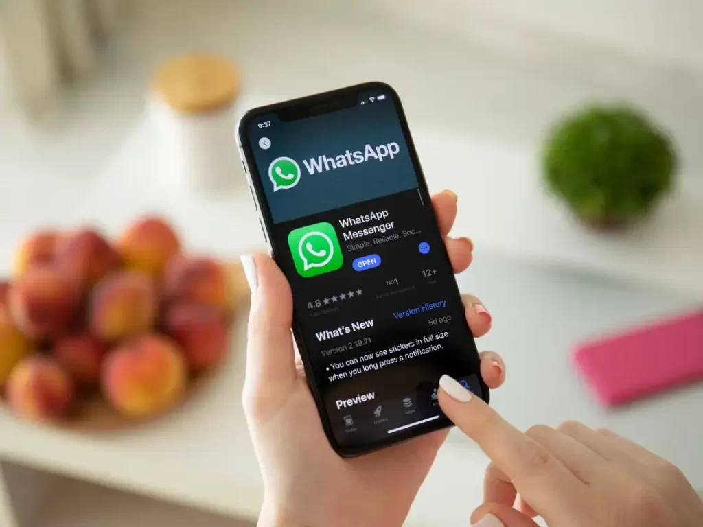 WhatsApp Is Crashing In Iphone