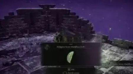 Haligtree Left Medallion Location