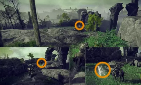 solution of homing instinct painting location elden ring