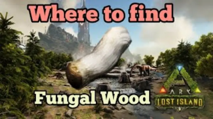 Where to Find Fungal Wood in Ark Fjordur