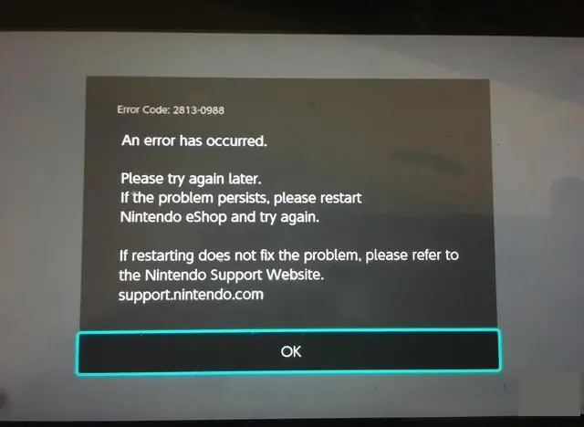 Nintendo Error Code 2813 0988