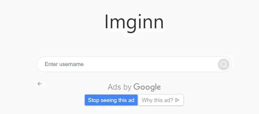 ImgInn Website